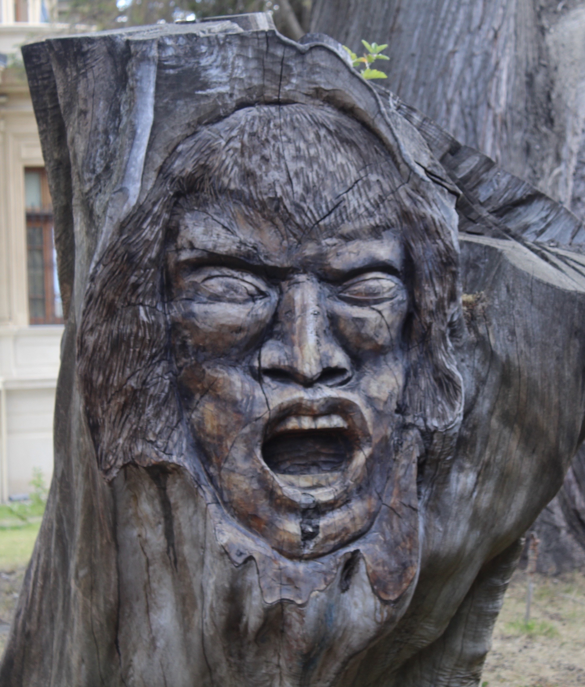 Tree carving art in Punta Arenas Chile, Feb. 28, 2020